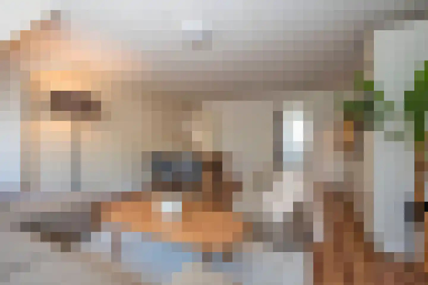 Hoofdstraat 35 b Zenderen thumbnail 14