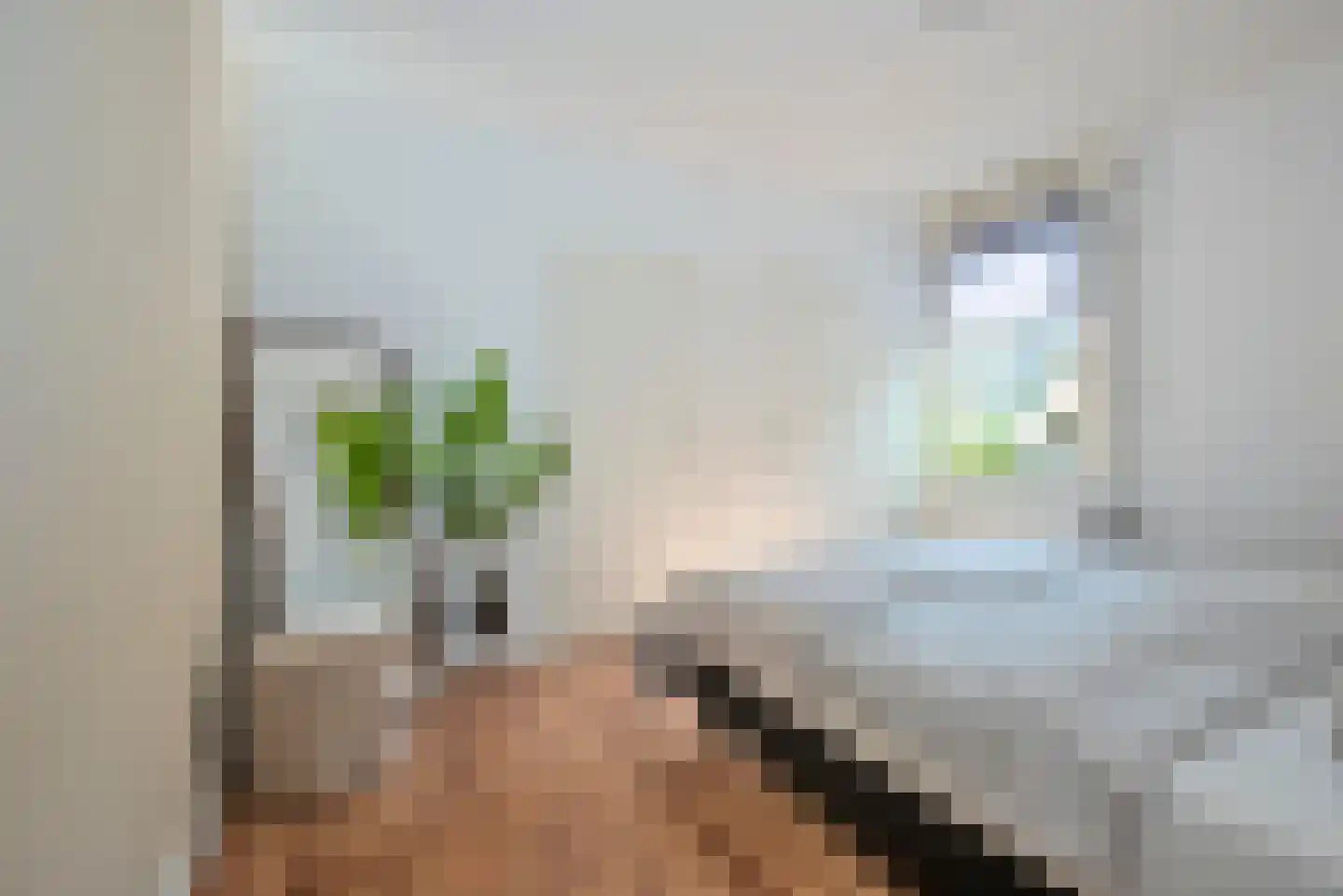 Hoofdstraat 35 b Zenderen thumbnail 16