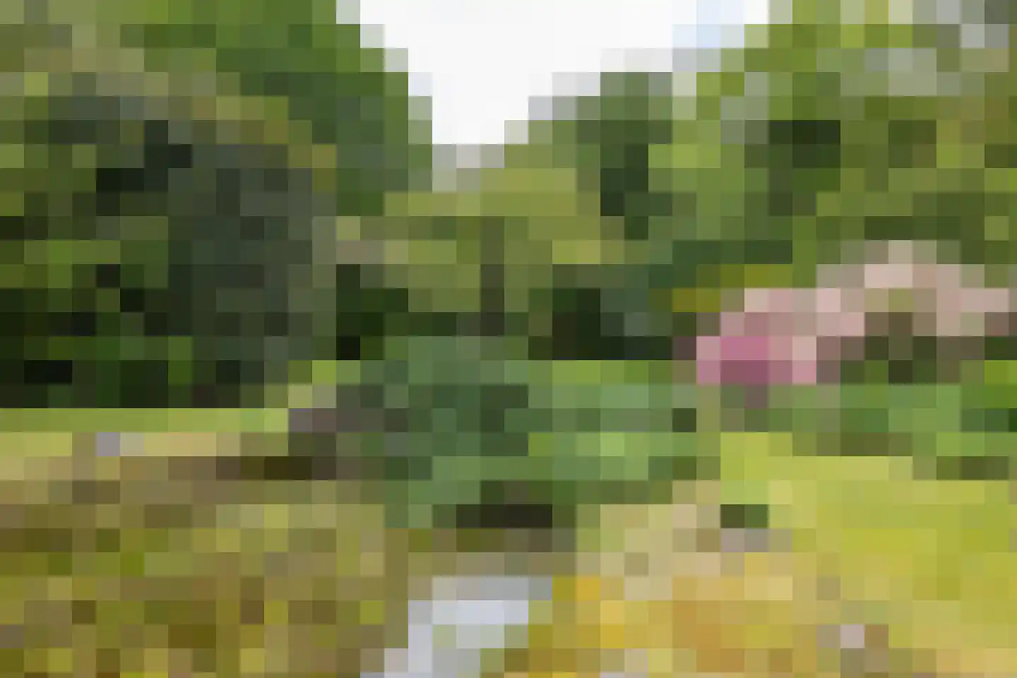 Hoofdstraat 35 Eext thumbnail 10