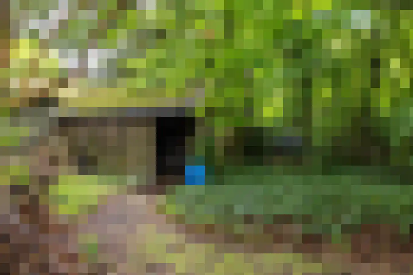 Hoofdstraat 35 Eext thumbnail 14