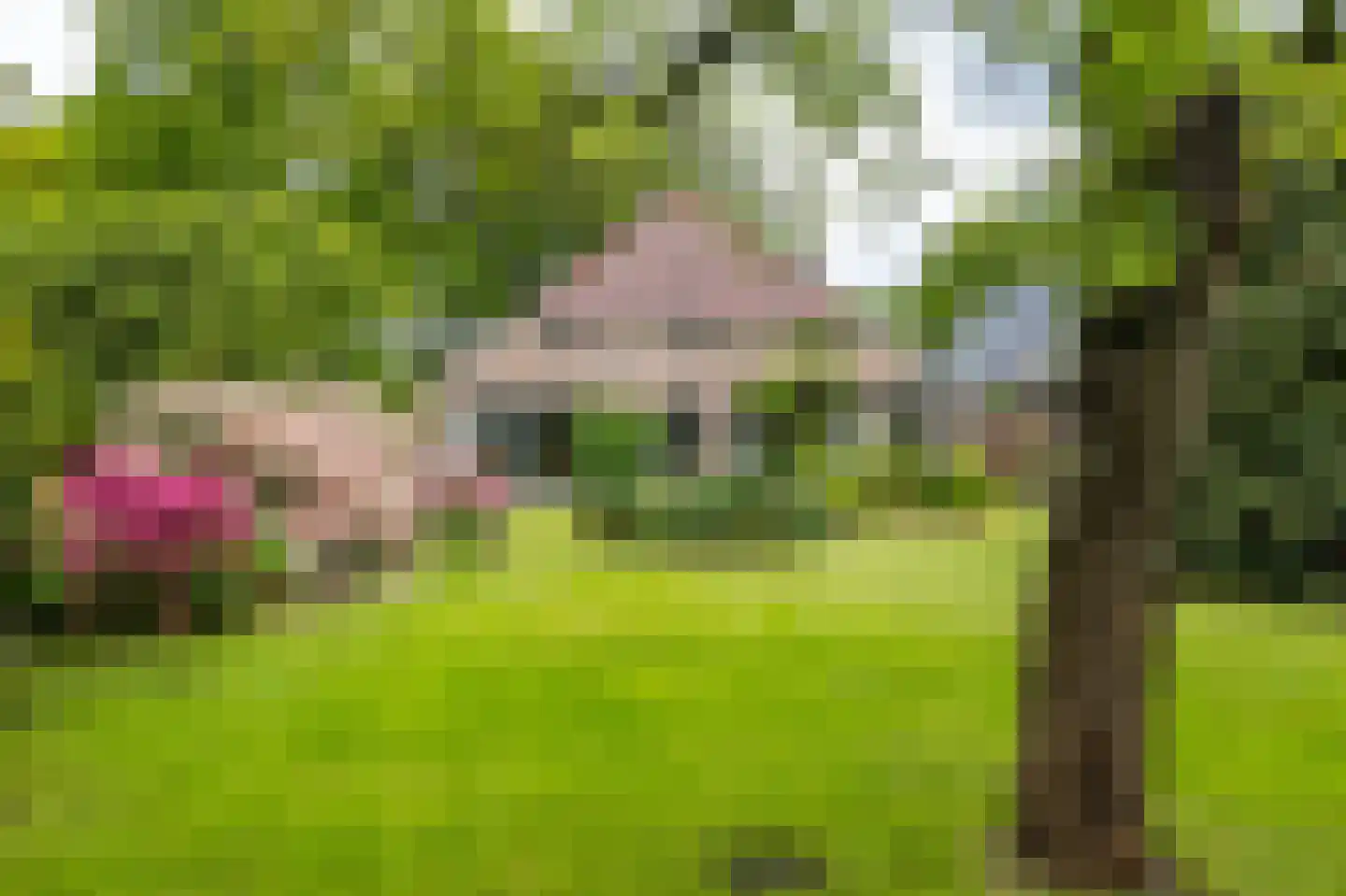 Hoofdstraat 35 Eext thumbnail 16