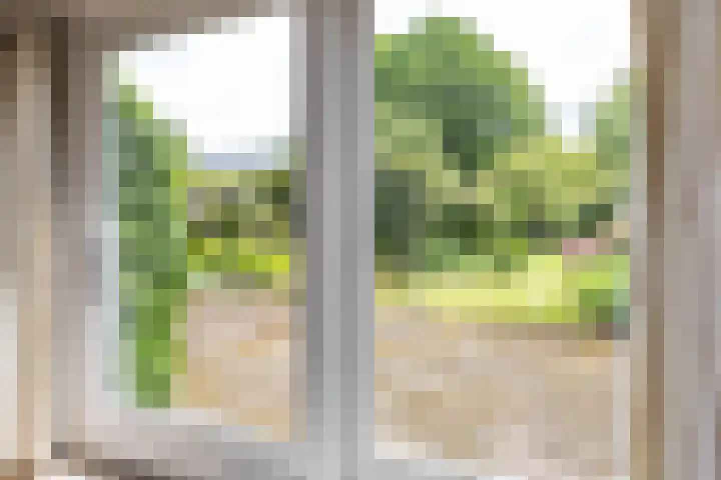 Hoofdstraat 35 Eext thumbnail 19