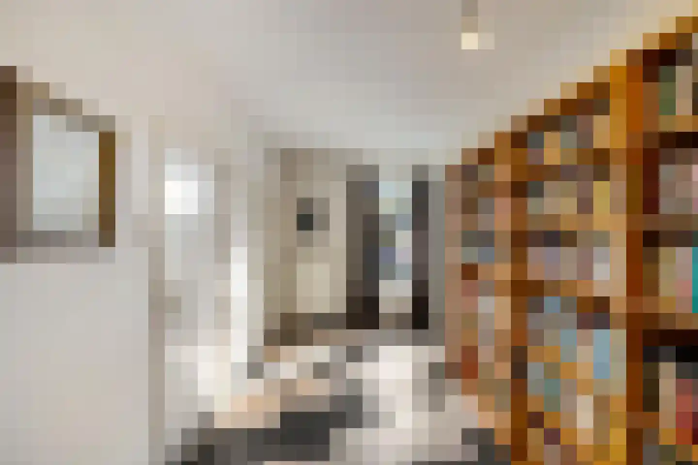 Hoofdstraat 35 Eext thumbnail 29