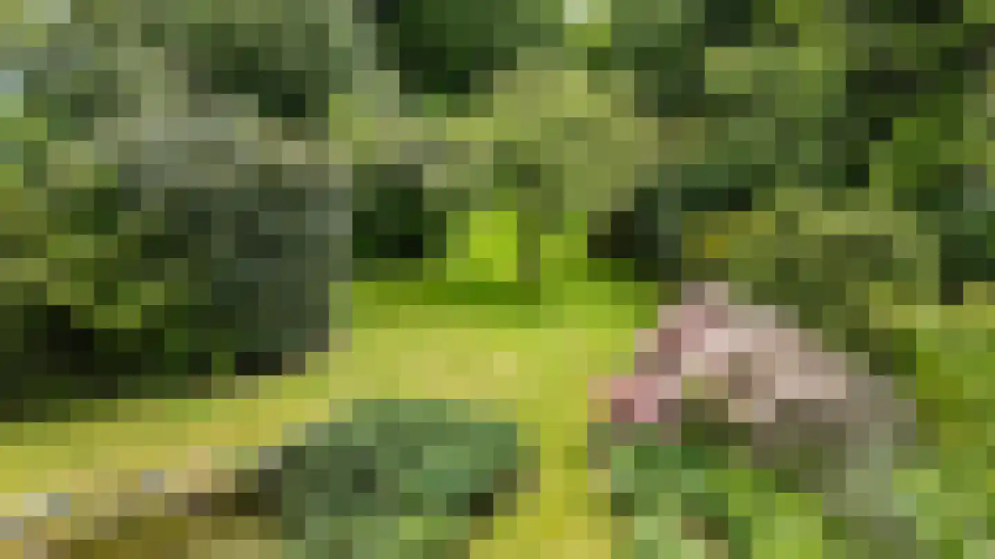 Hoofdstraat 35 Eext thumbnail 4