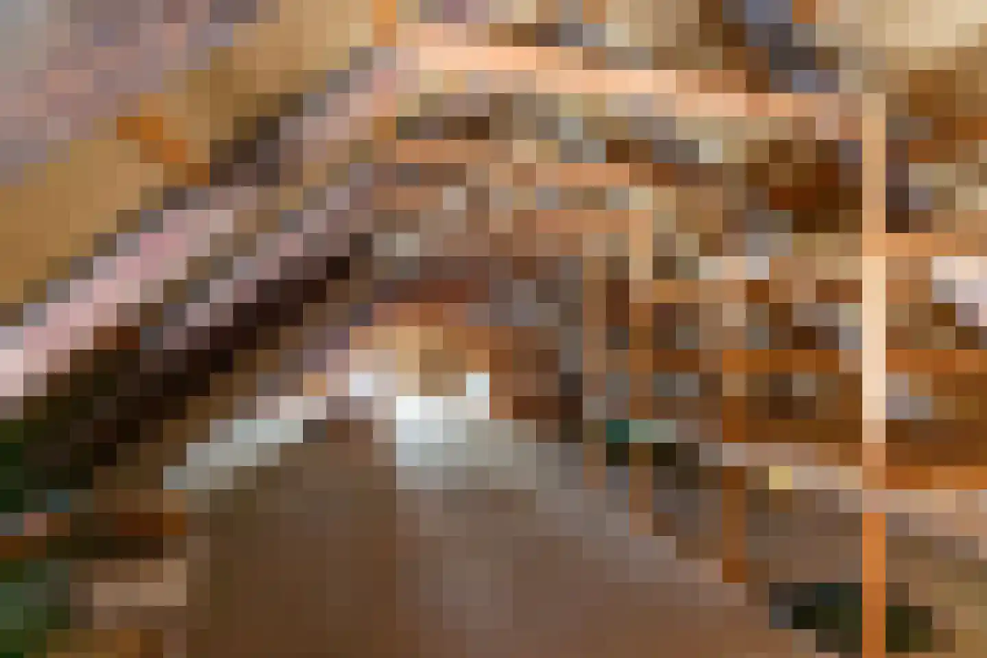 Hoofdstraat 35 Eext thumbnail 42