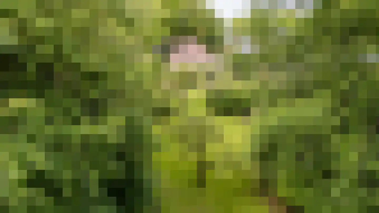 Hoofdstraat 35 Eext thumbnail 5