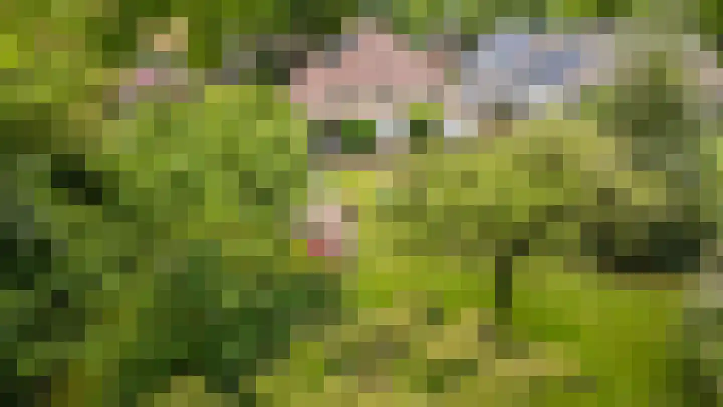 Hoofdstraat 35 Eext thumbnail 6