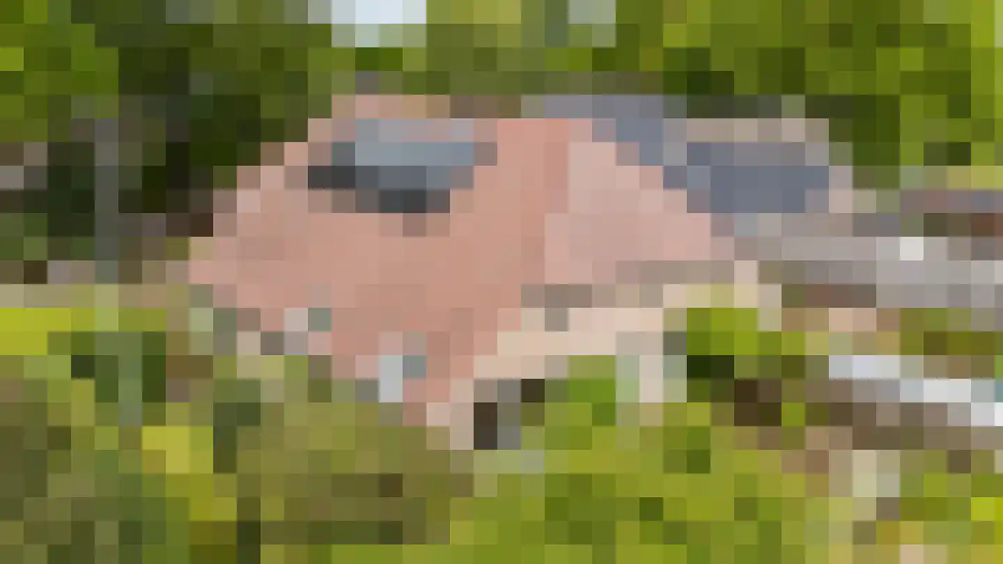 Hoofdstraat 35 Eext thumbnail 7