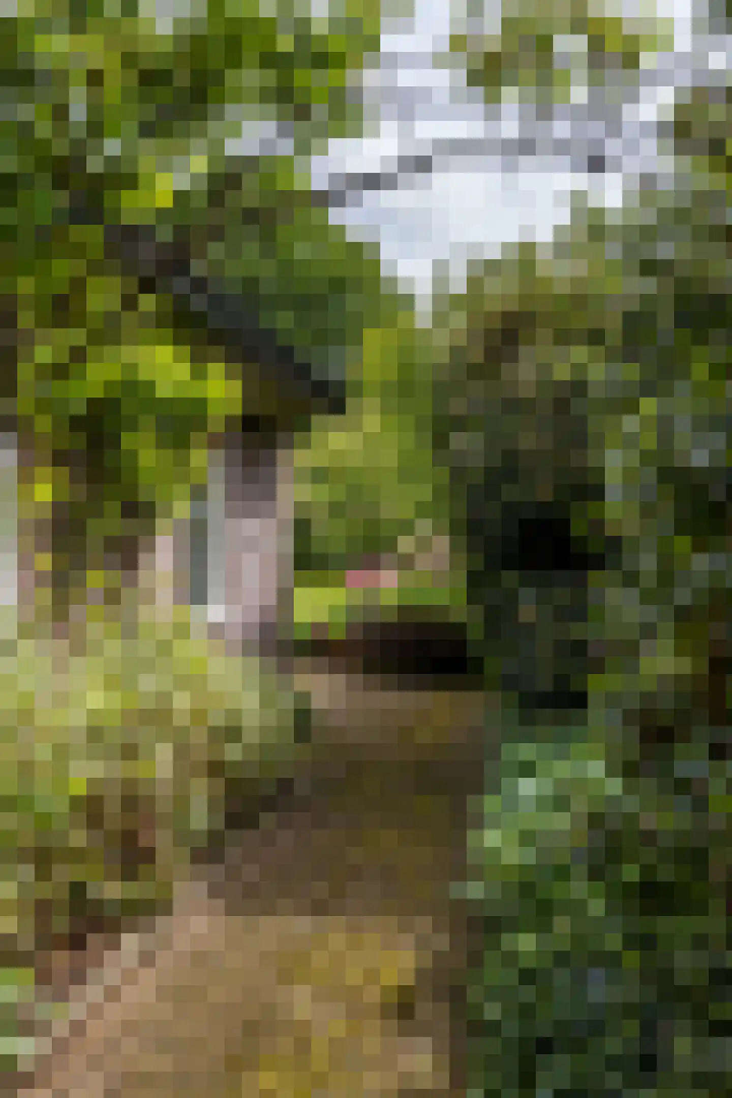 Hoofdstraat 35 Eext thumbnail 9