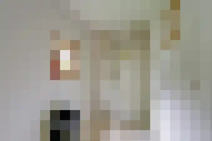 Hoofdstraat 35 Gaanderen thumbnail 15