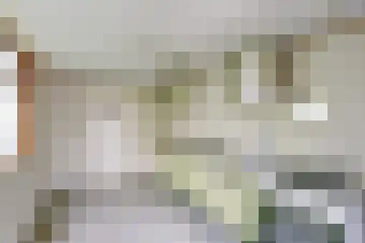 Hoofdstraat 35 Gaanderen thumbnail 9