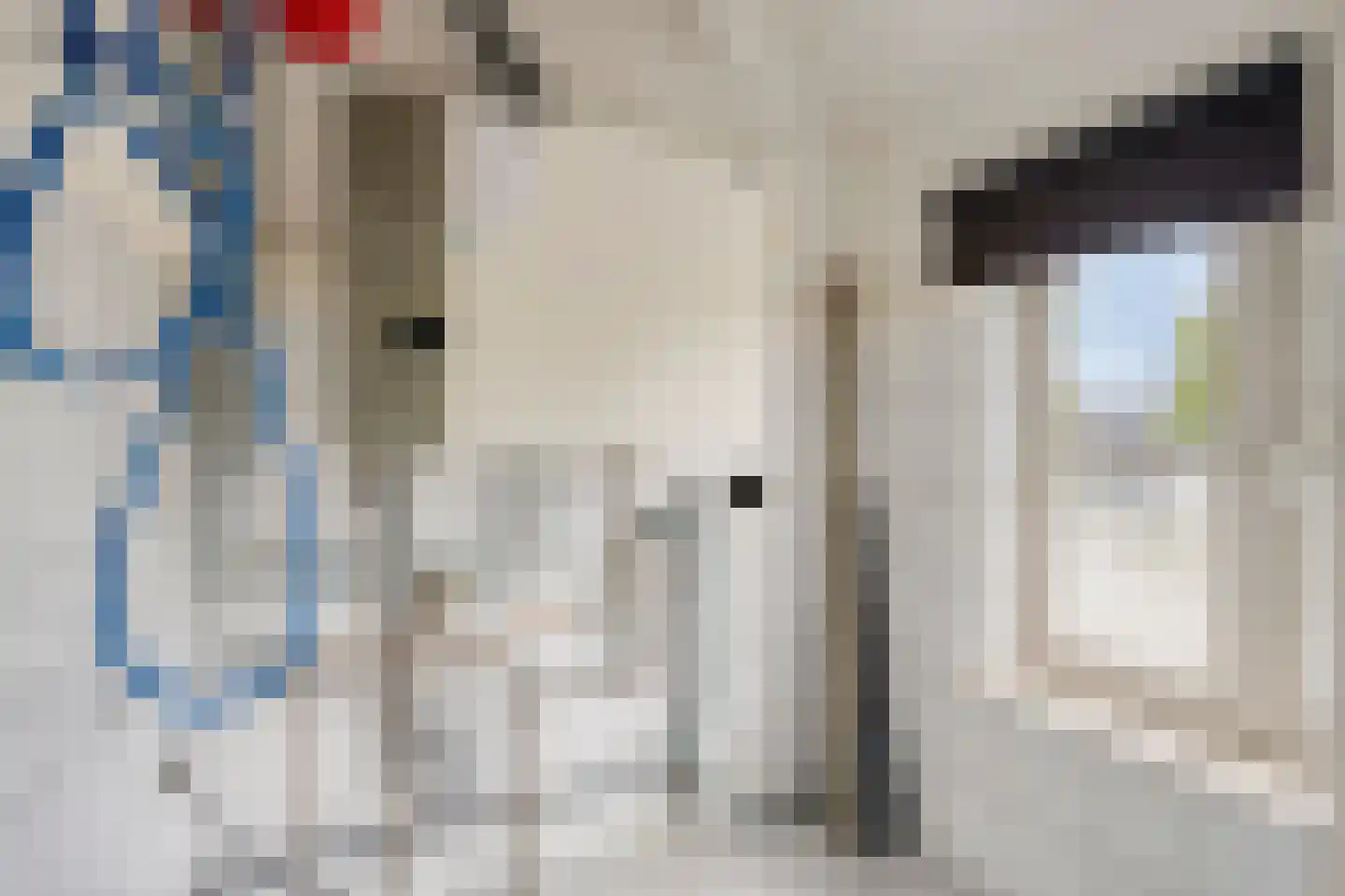 Hoofdstraat 35 Helmond thumbnail 33