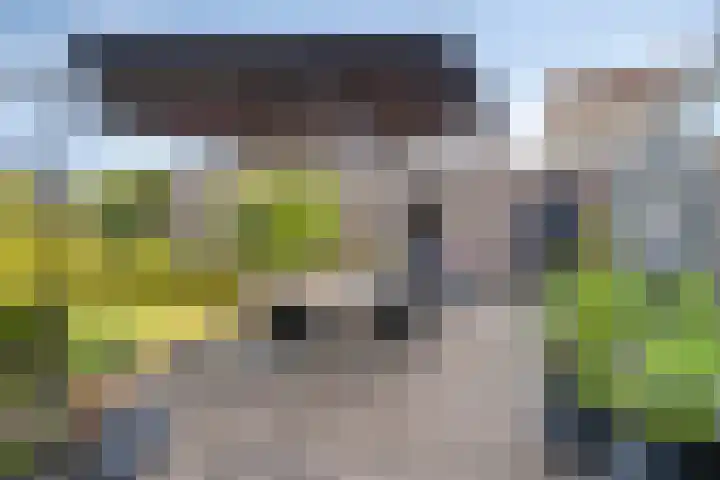 Hoofdstraat 35 Helmond thumbnail 5