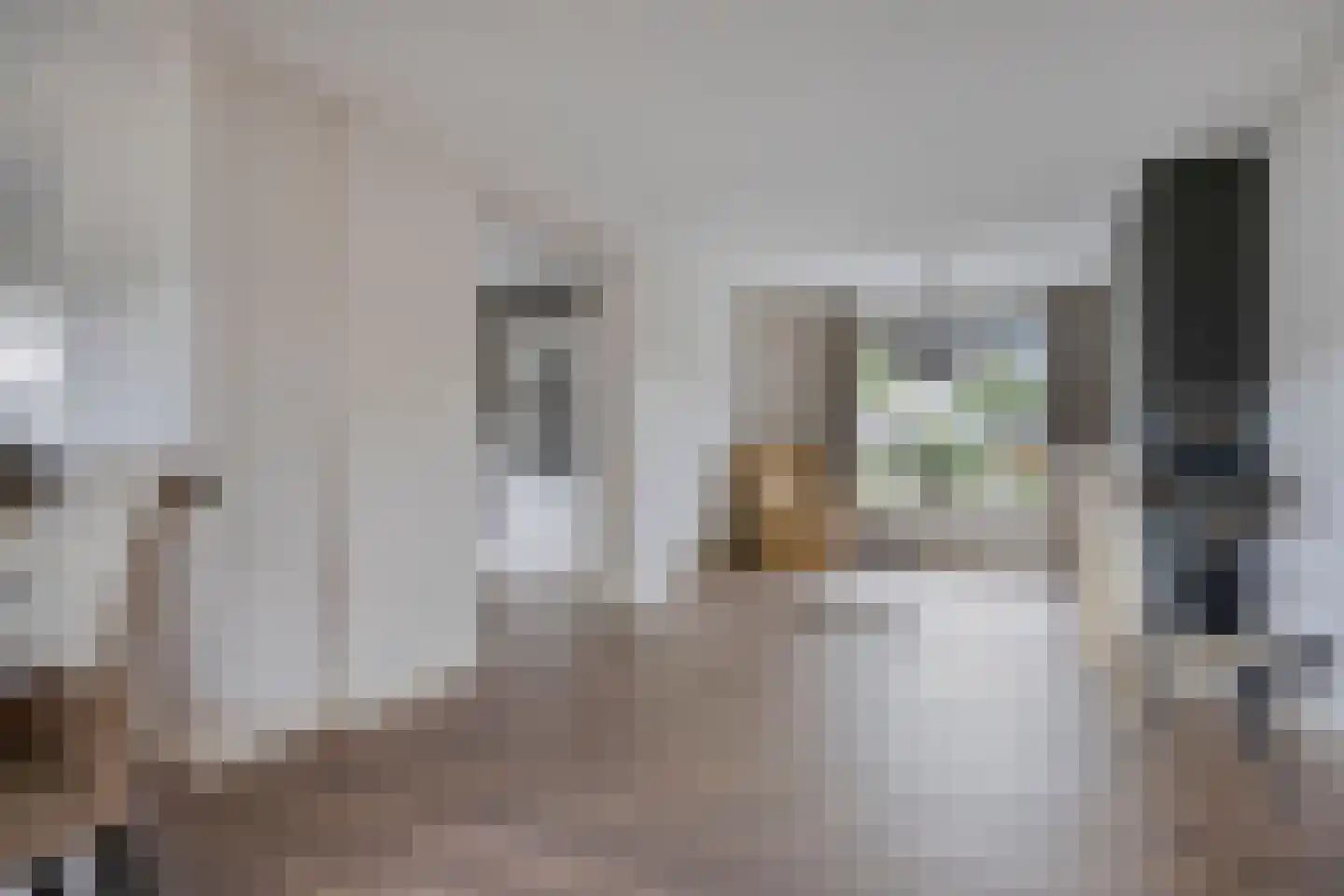 Hoofdstraat 35 Helmond thumbnail 9