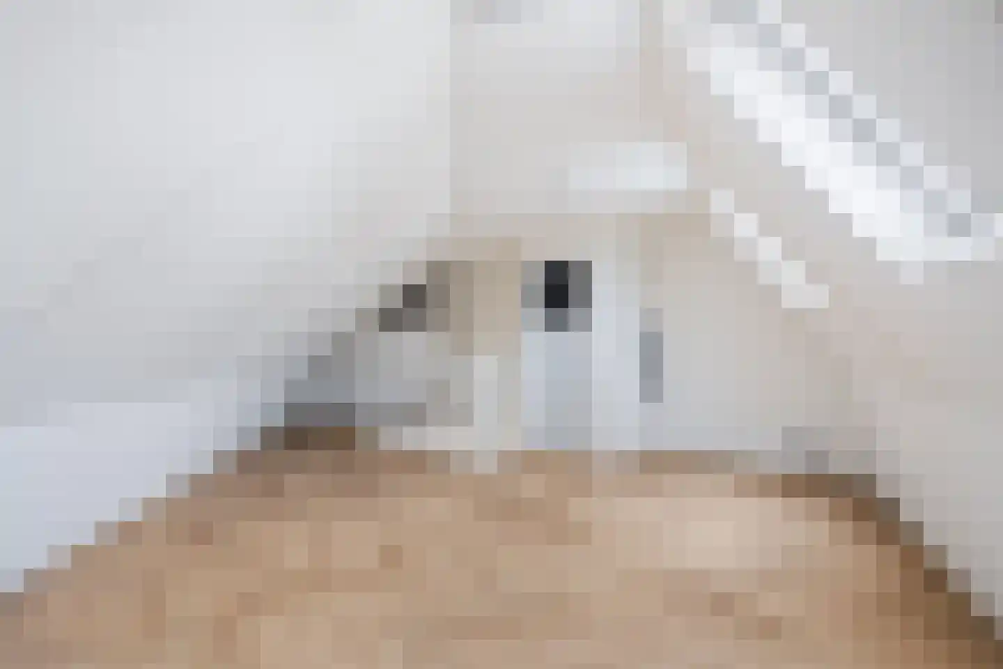 Hoofdstraat 35 Koudum thumbnail 14