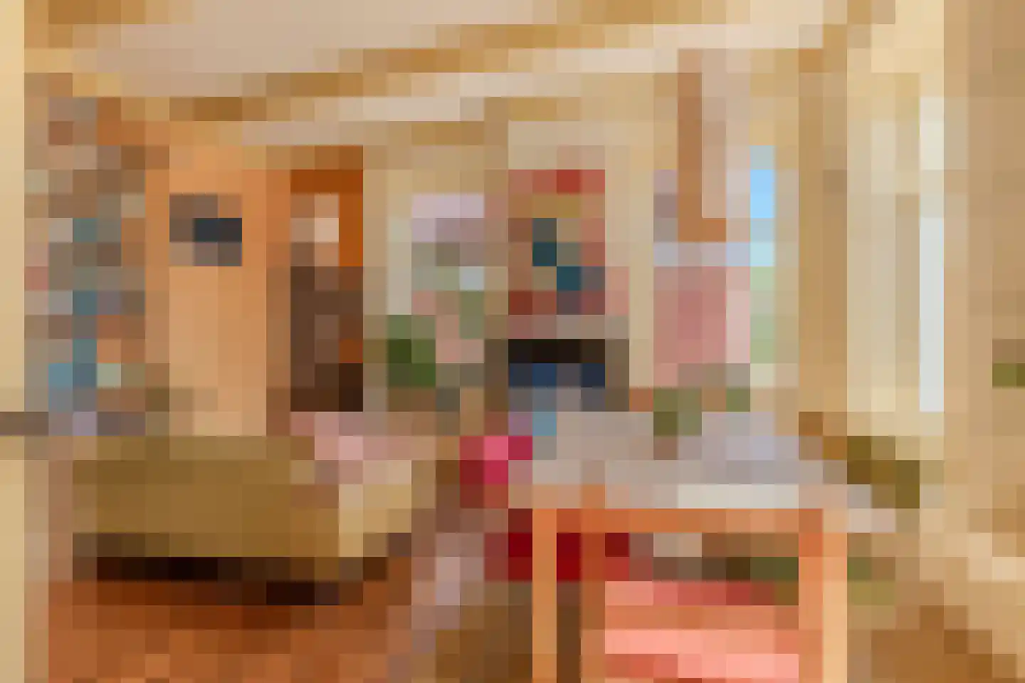 Hoofdstraat 35 Stedum thumbnail 14