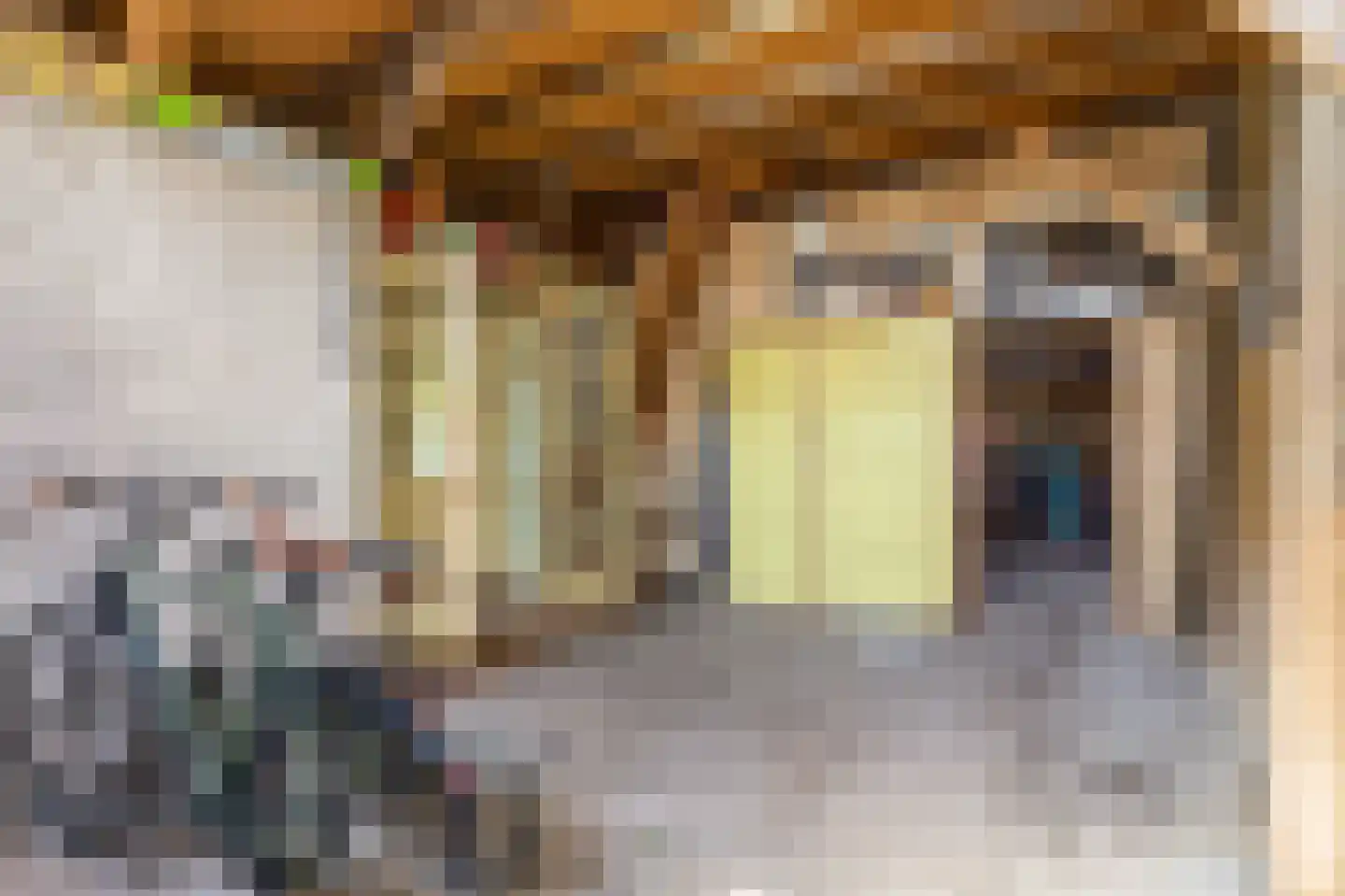 Hoofdstraat 35 Stedum thumbnail 34