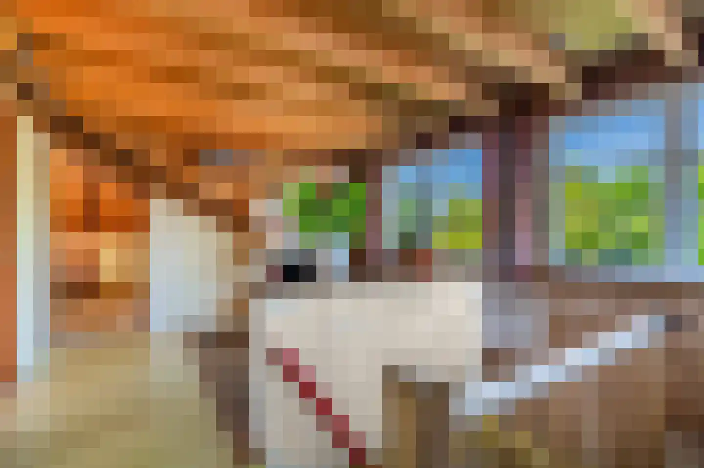 Hoofdstraat 35 Stedum thumbnail 37