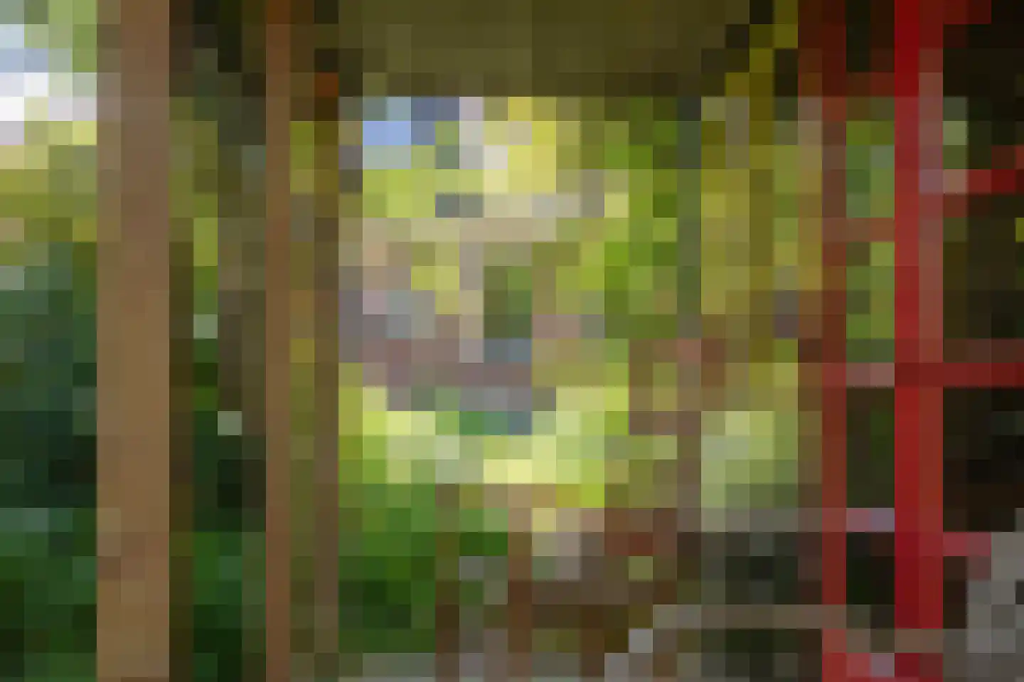 Hoofdstraat 35 Stedum thumbnail 45
