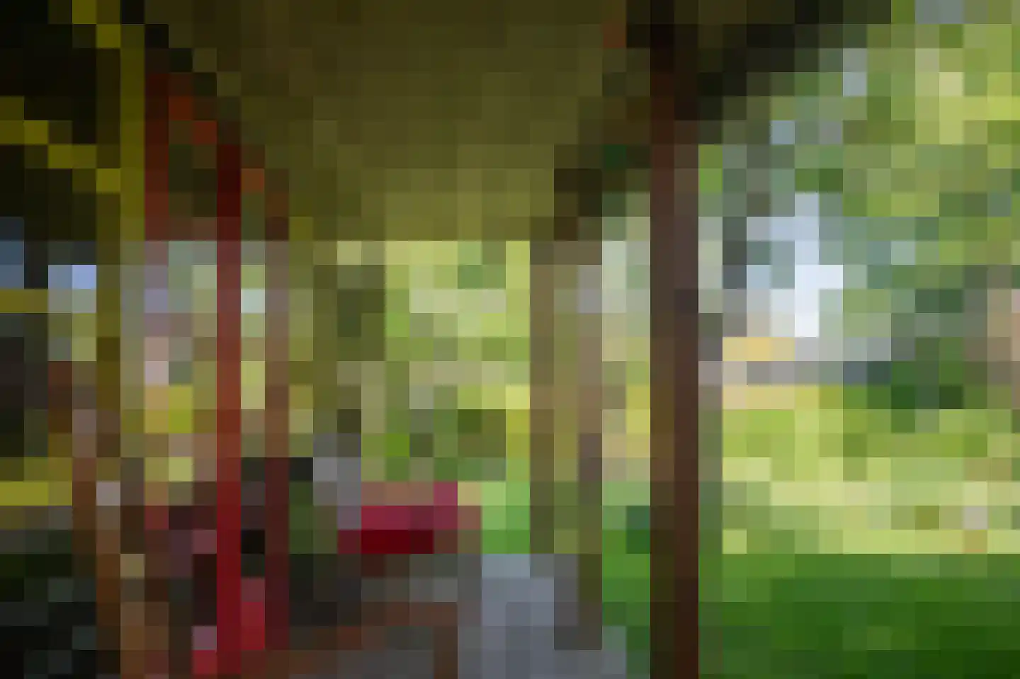 Hoofdstraat 35 Stedum thumbnail 46