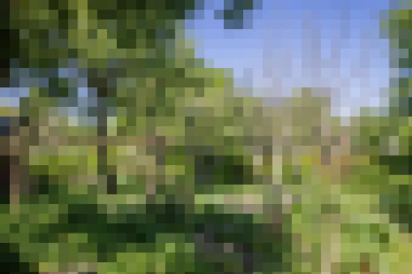 Hoofdstraat 35 Stedum thumbnail 48