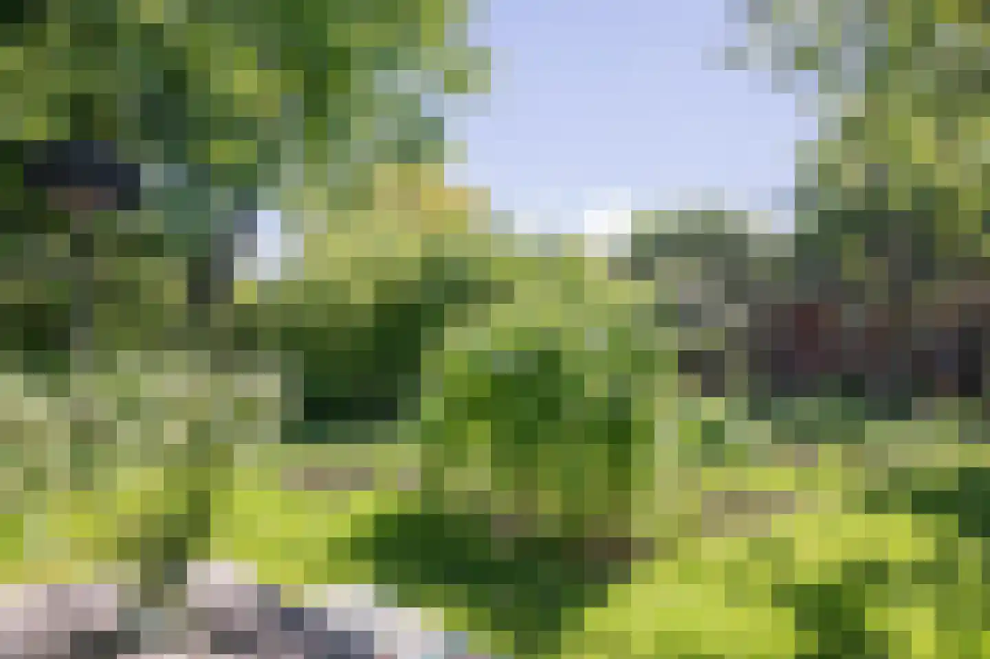 Hoofdstraat 35 Stedum thumbnail 51