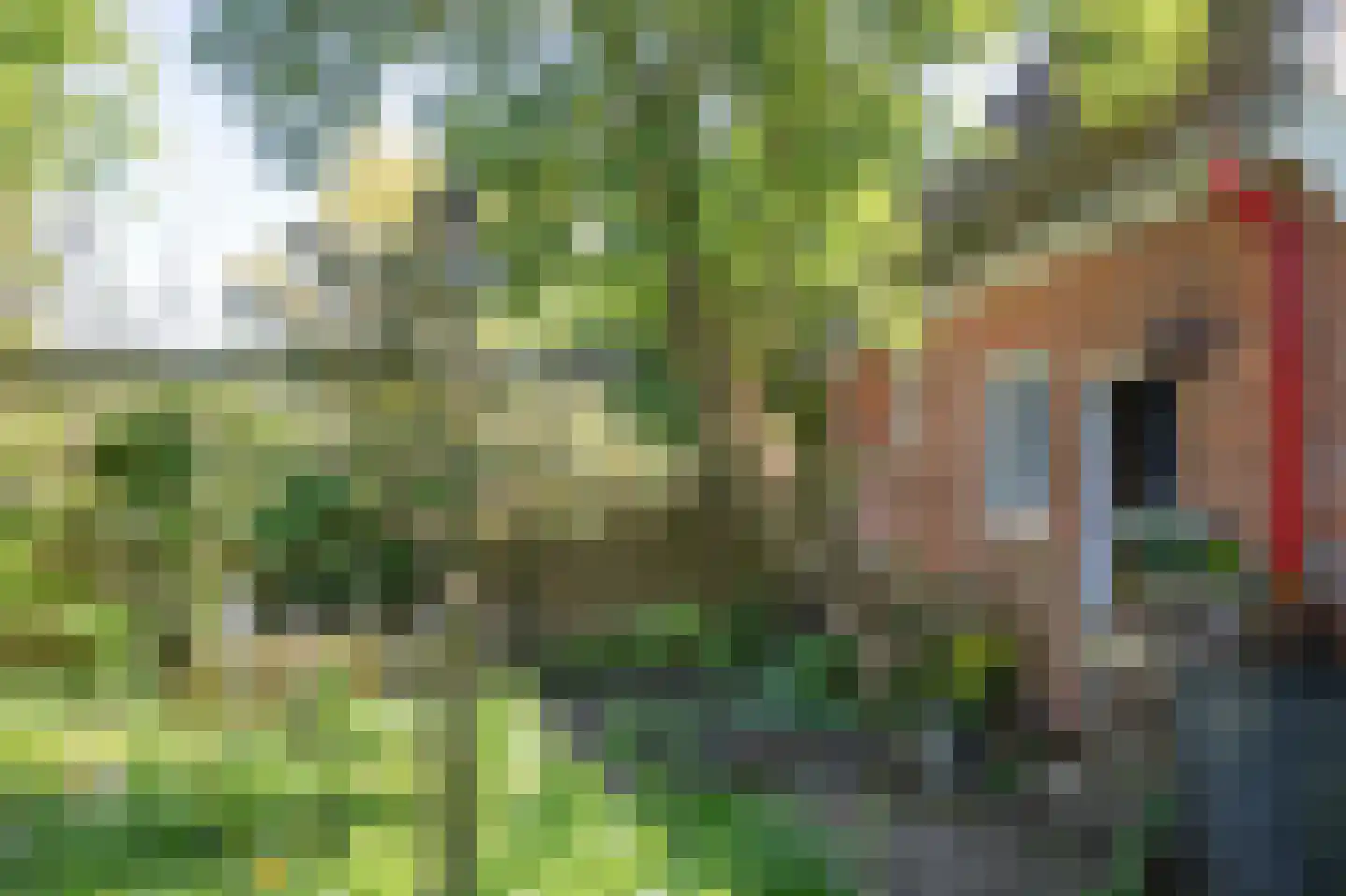 Hoofdstraat 35 Stedum thumbnail 53
