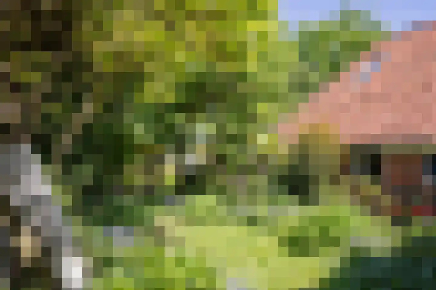 Hoofdstraat 35 Stedum thumbnail 57