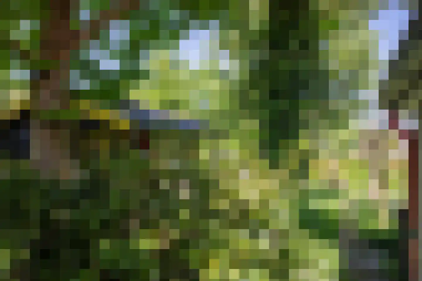 Hoofdstraat 35 Stedum thumbnail 62