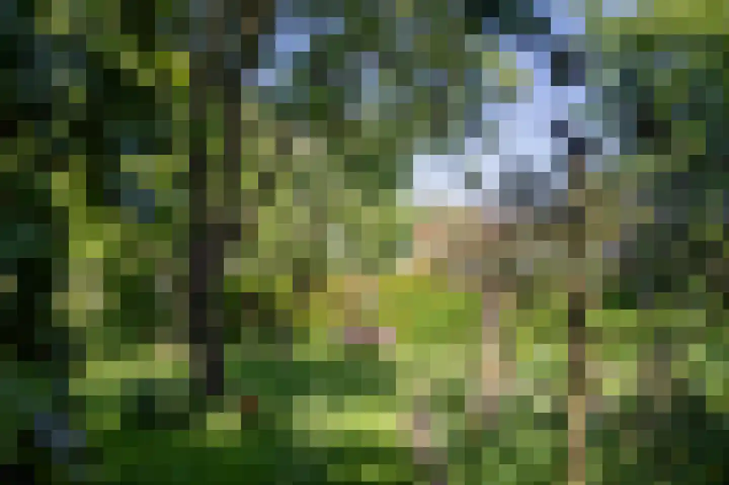 Hoofdstraat 35 Stedum thumbnail 63