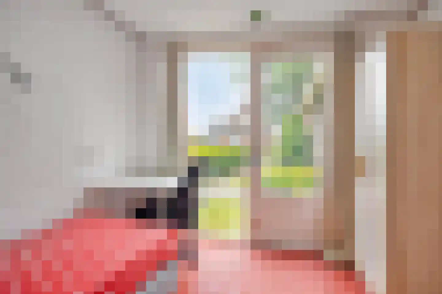 Hoofdstraat 35 Valthe thumbnail 32