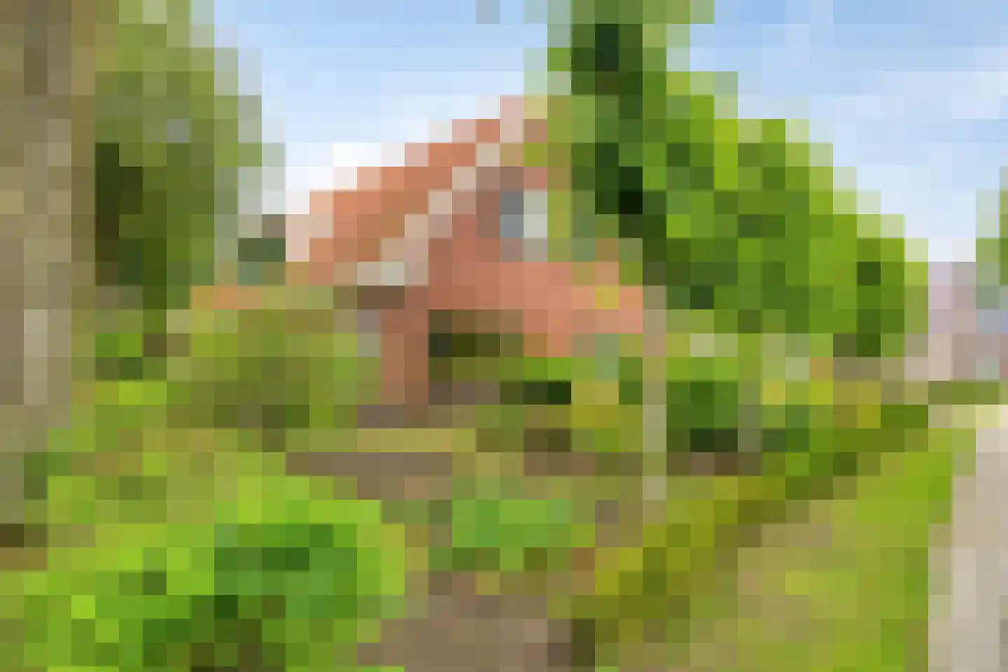 Hoofdstraat 35 Valthe thumbnail 4