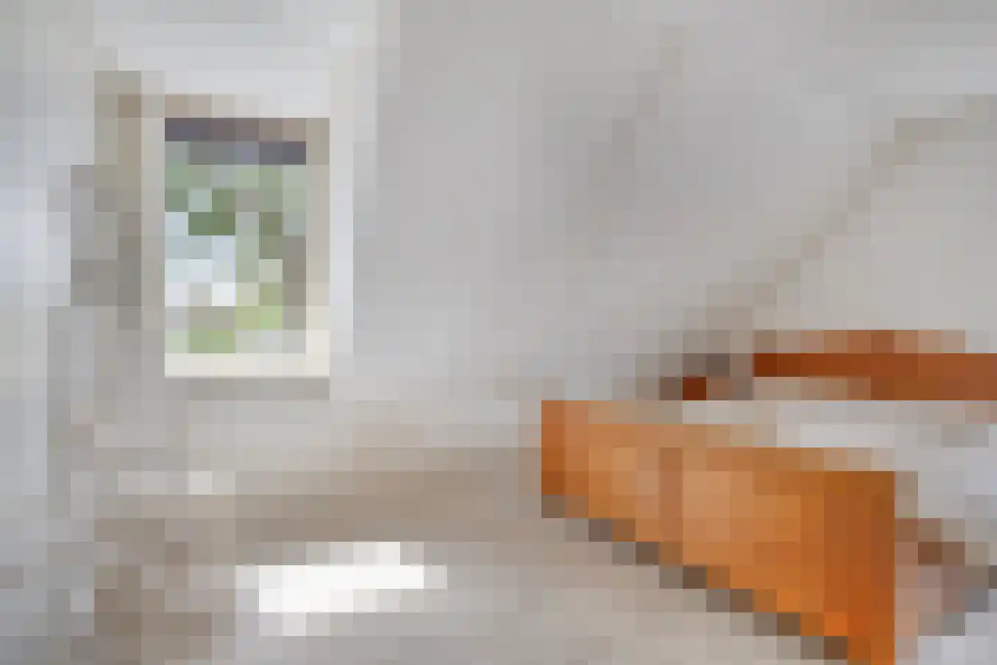 Hoofdstraat 35 Valthe thumbnail 40