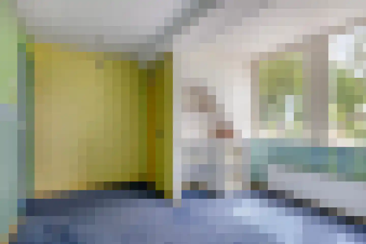 Hoofdstraat 35 Valthe thumbnail 43