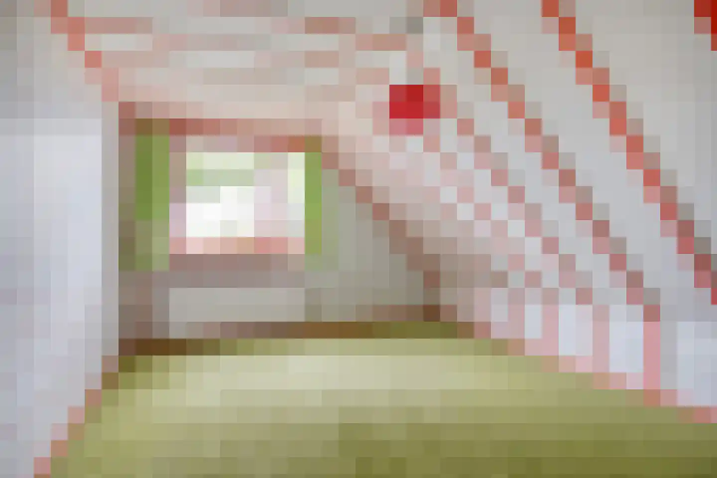 Hoofdstraat 35 Valthe thumbnail 44