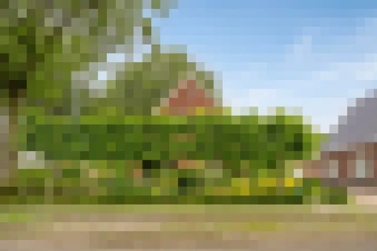 Hoofdstraat 35 Valthe thumbnail 5