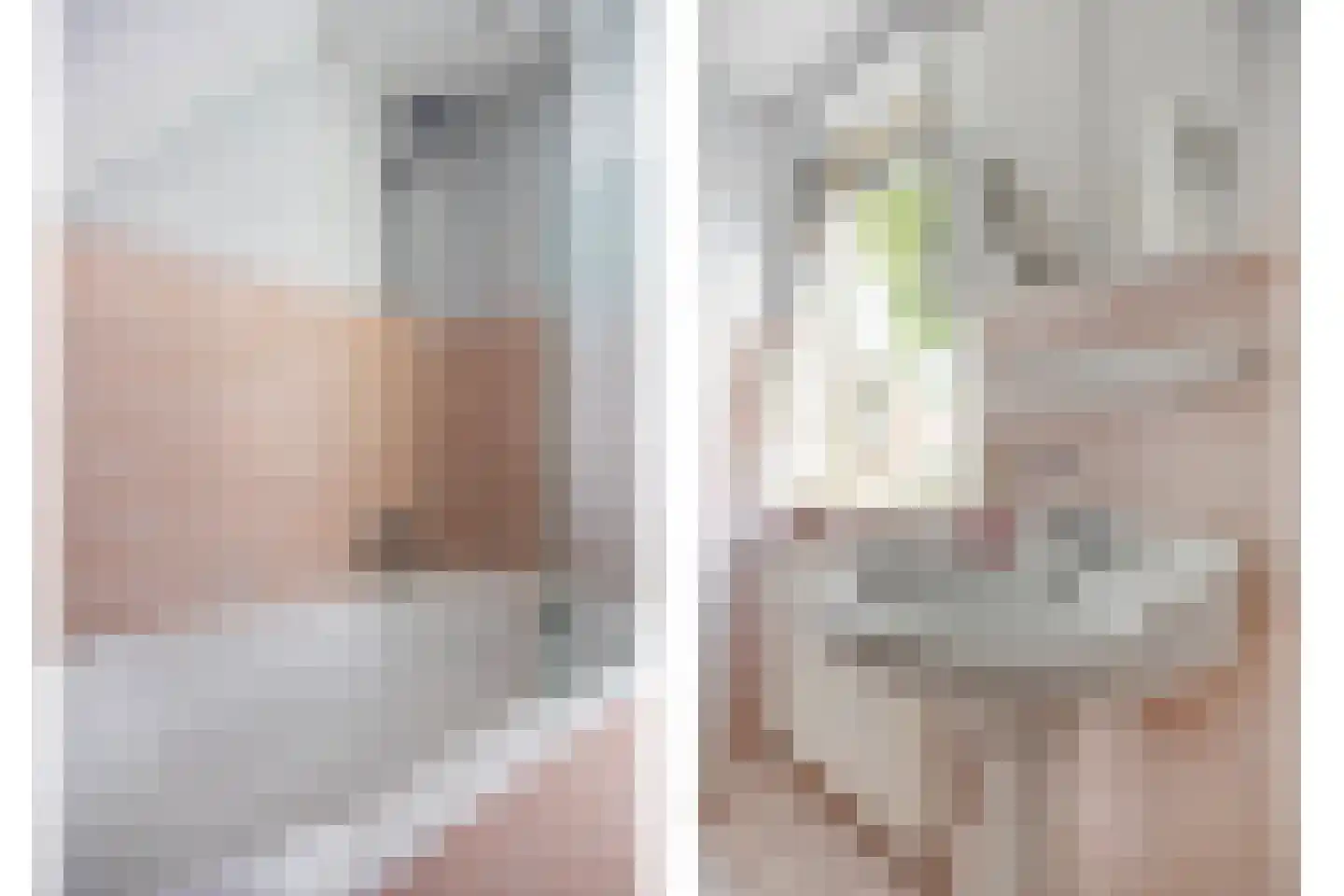 Hoofdstraat 35 Valthe thumbnail 54