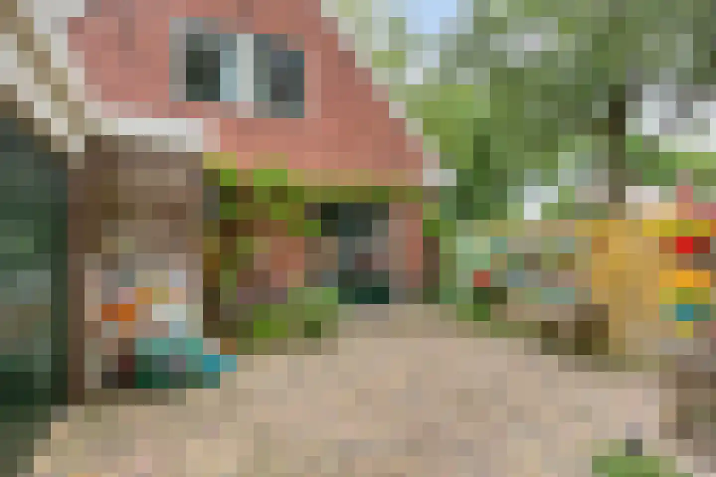 Hoofdstraat 35 Valthe thumbnail 57