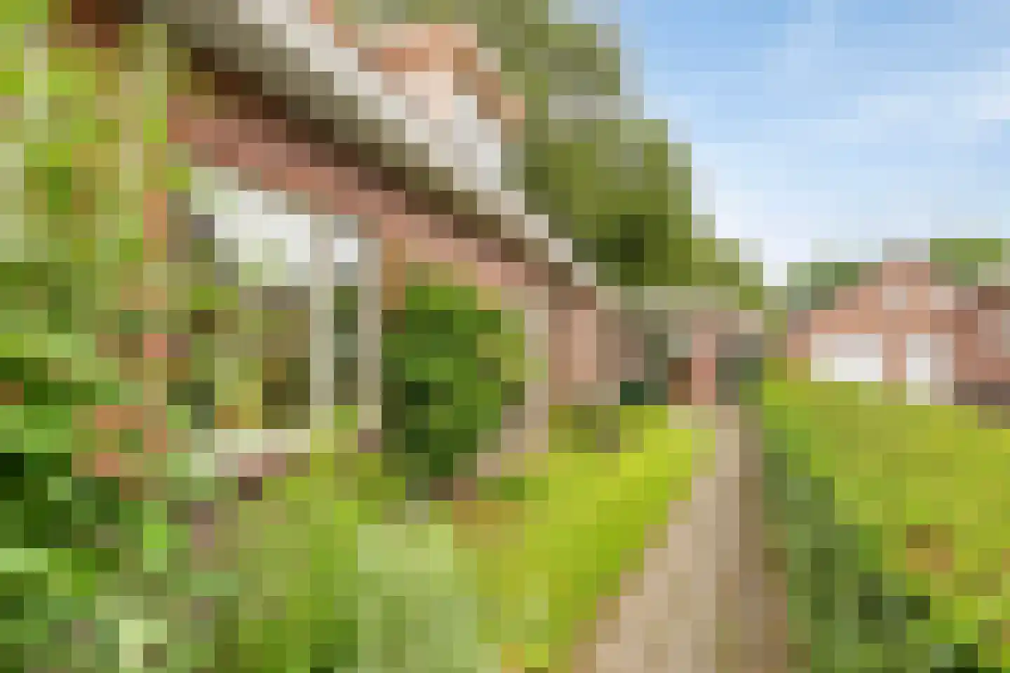 Hoofdstraat 35 Valthe thumbnail 6
