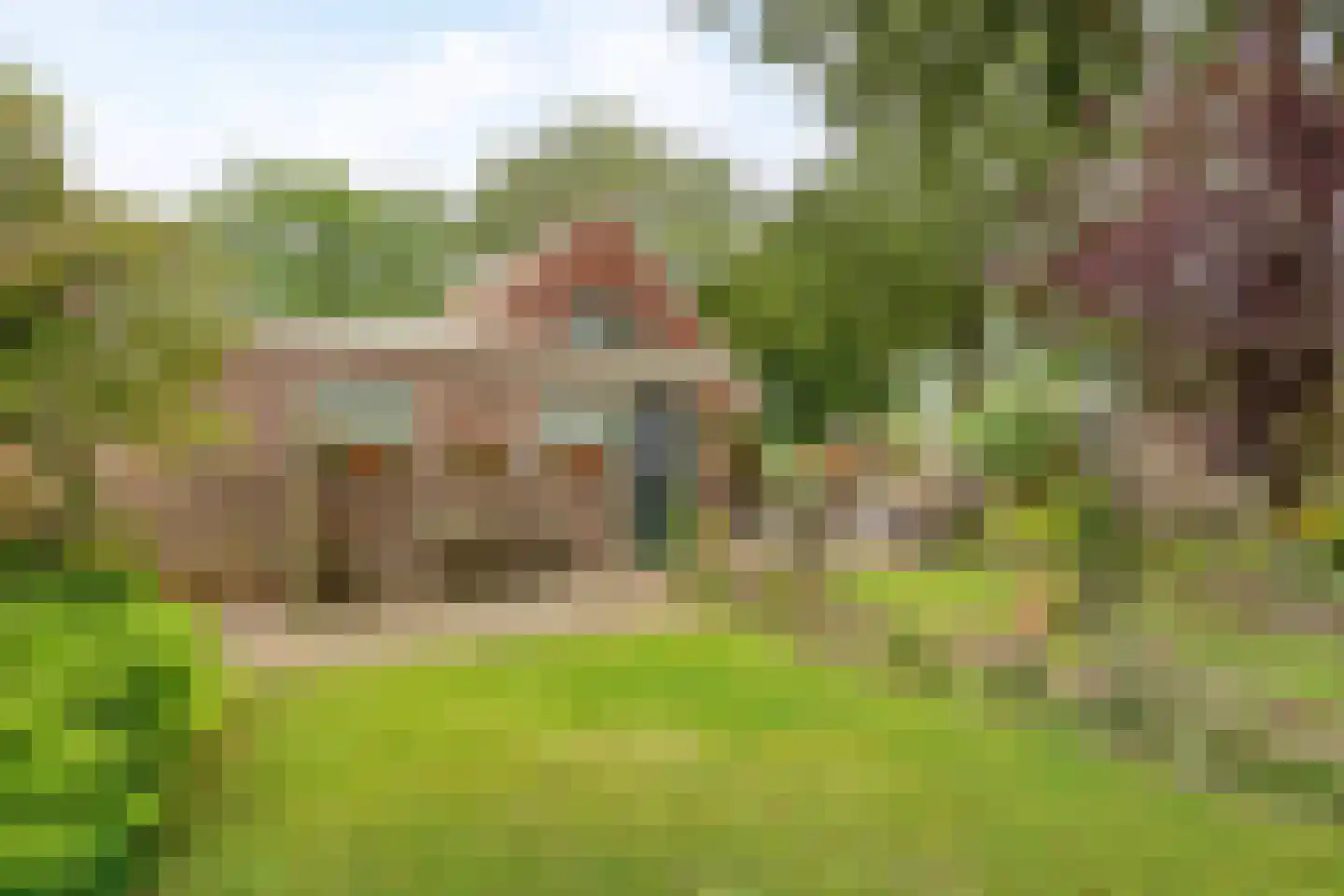 Hoofdstraat 35 Valthe thumbnail 62