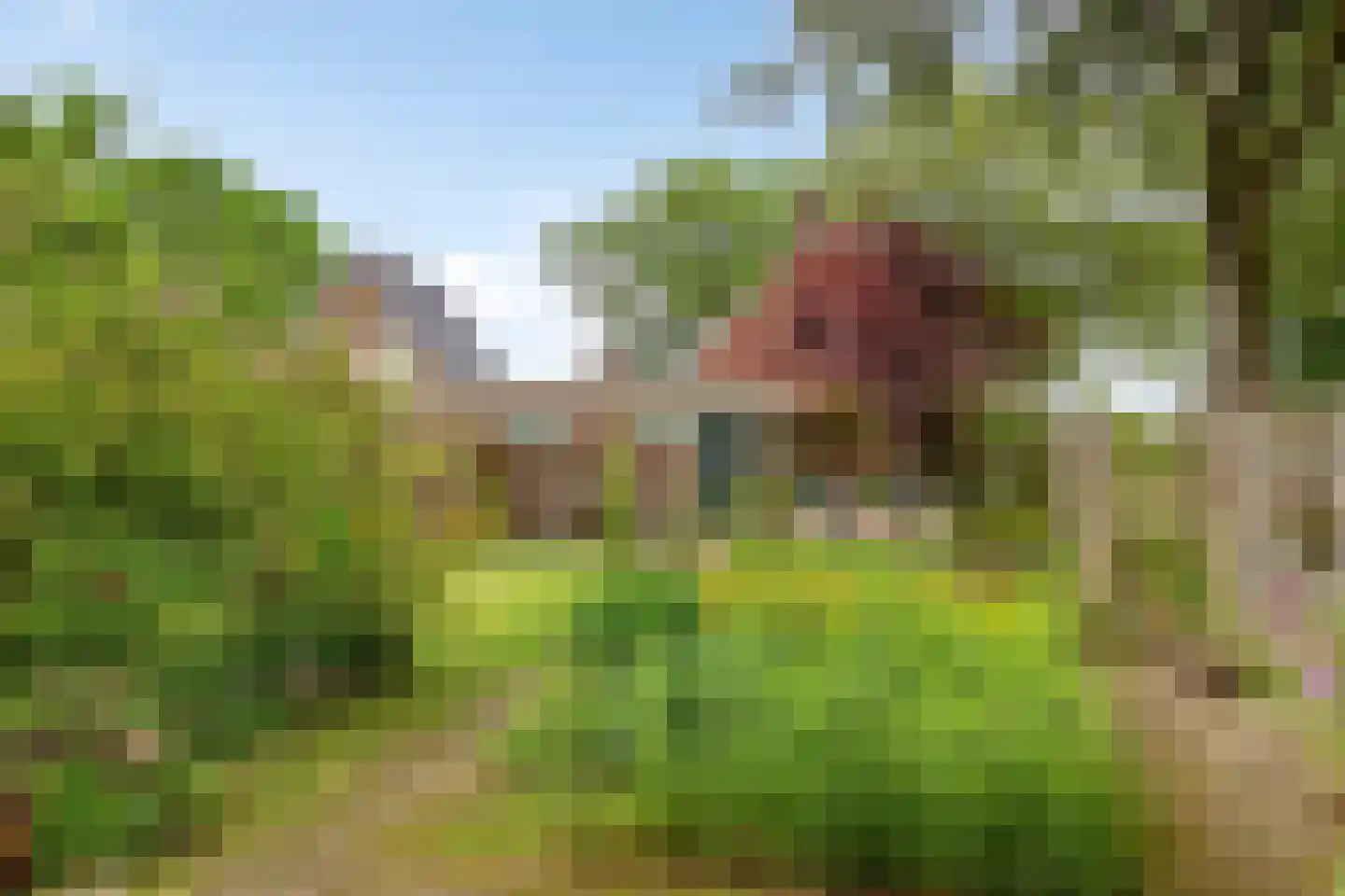 Hoofdstraat 35 Valthe thumbnail 64