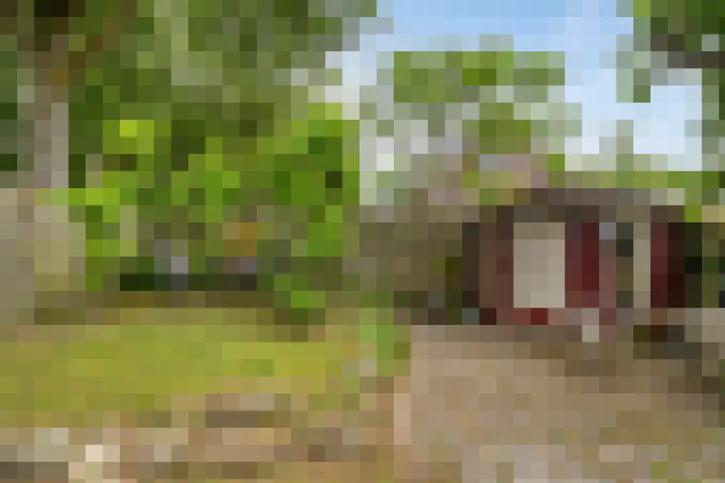 Hoofdstraat 35 Valthe thumbnail 69