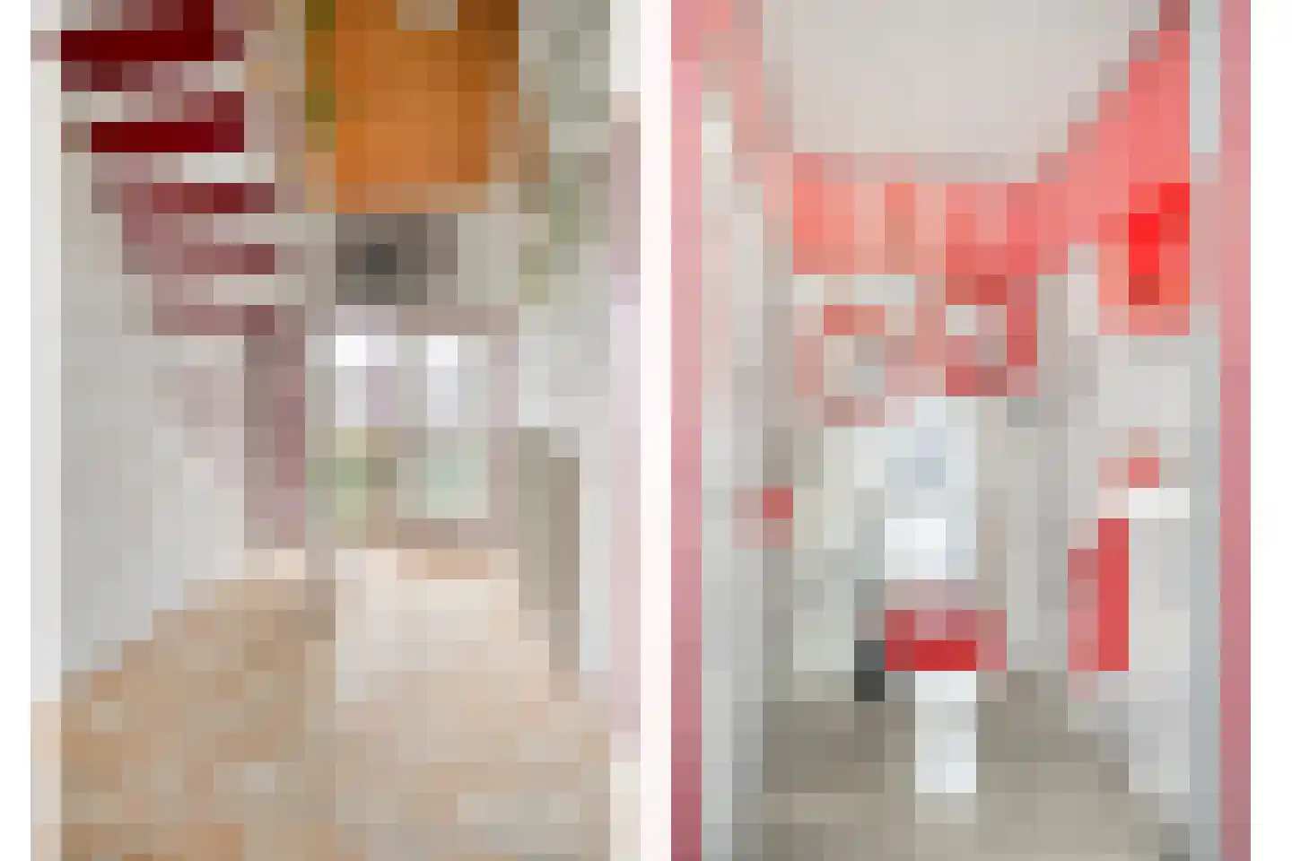 Hoofdstraat 35 Valthe thumbnail 8