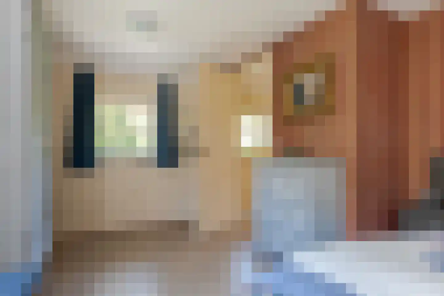 Hoofdstraat 35 Zwiggelte thumbnail 35