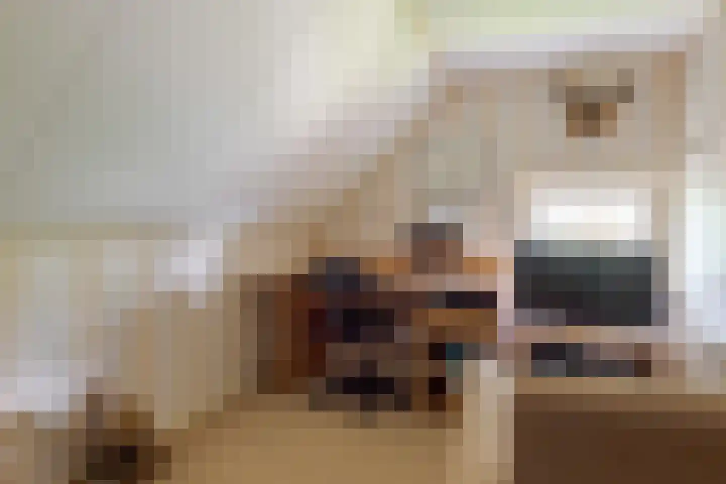 Hoofdstraat 35 Zwiggelte thumbnail 49