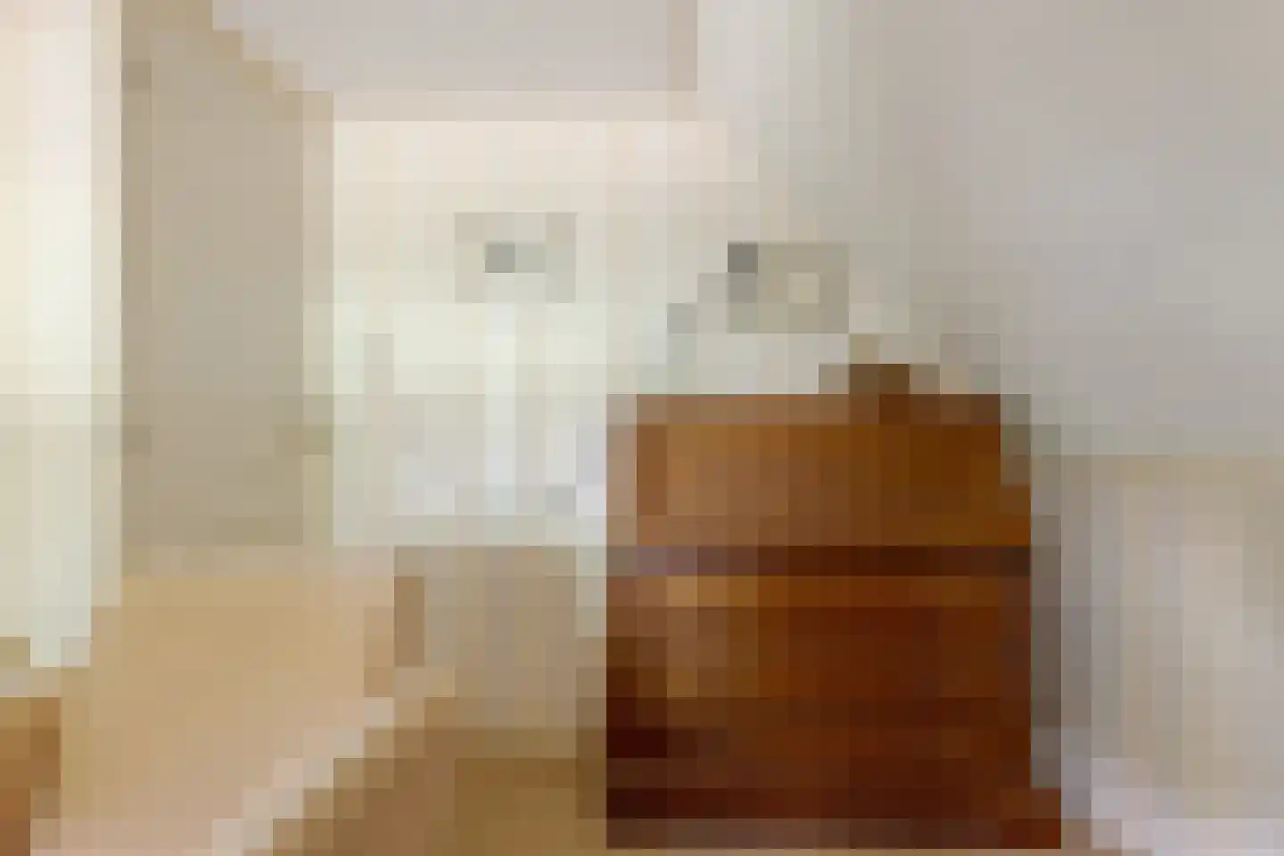 Hoofdstraat 35 Zwiggelte thumbnail 50