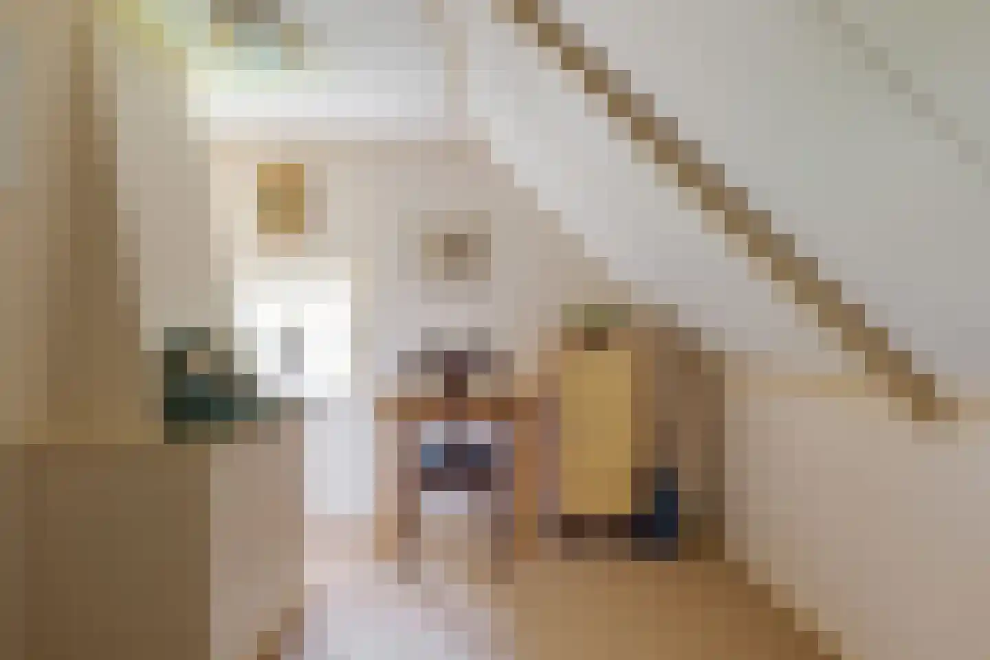Hoofdstraat 35 Zwiggelte thumbnail 51