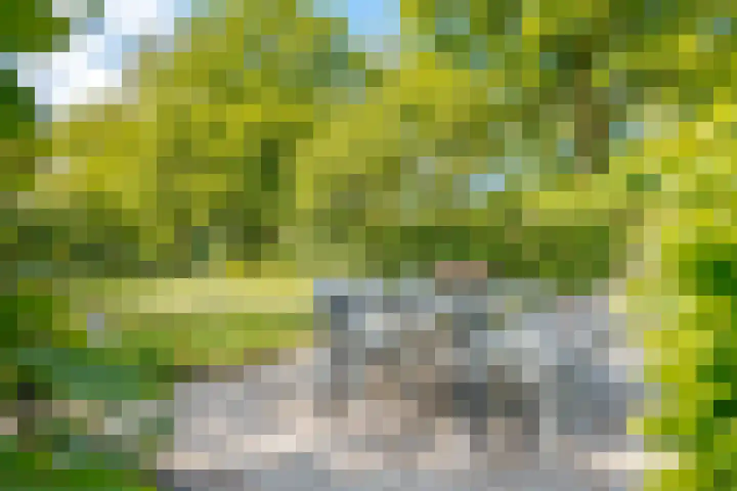Hoofdstraat 35 Zwiggelte thumbnail 56