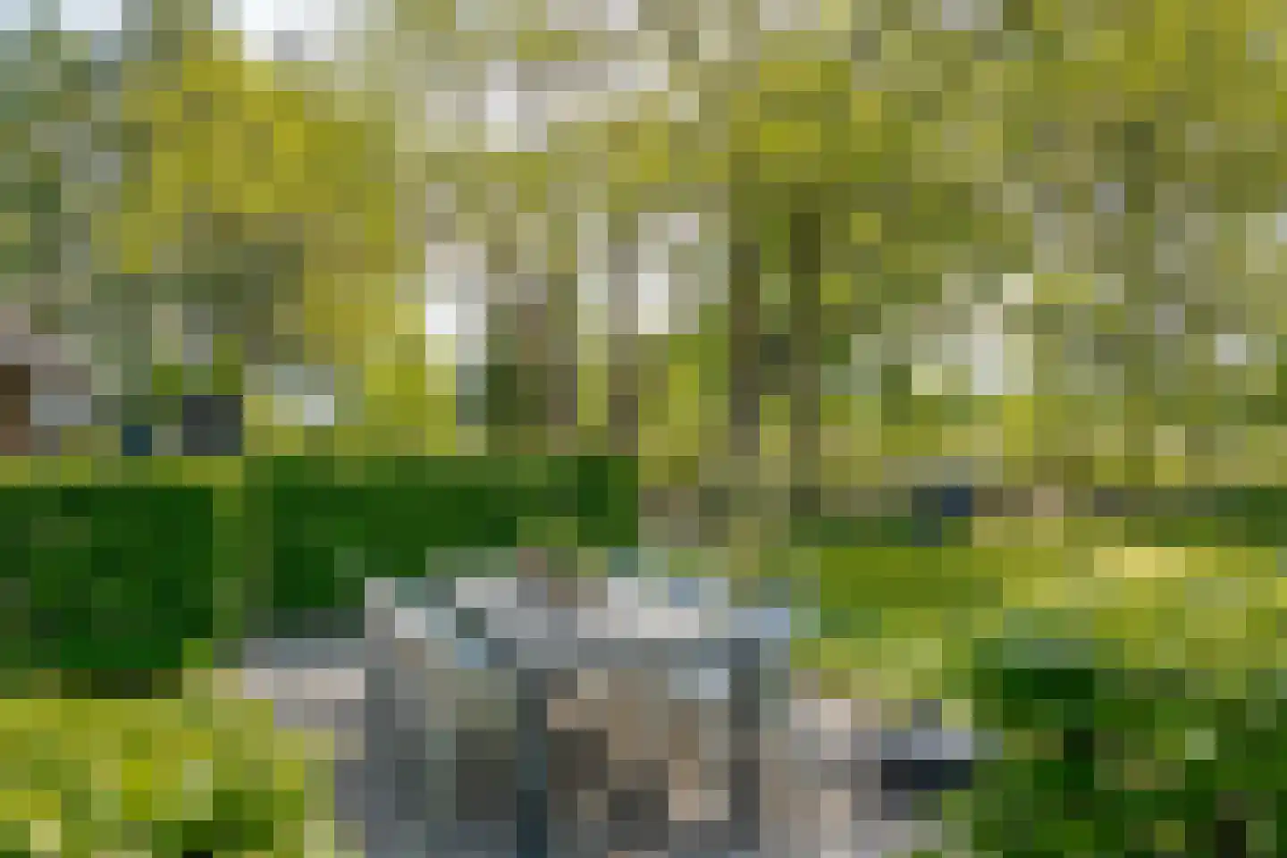 Hoofdstraat 35 Zwiggelte thumbnail 57