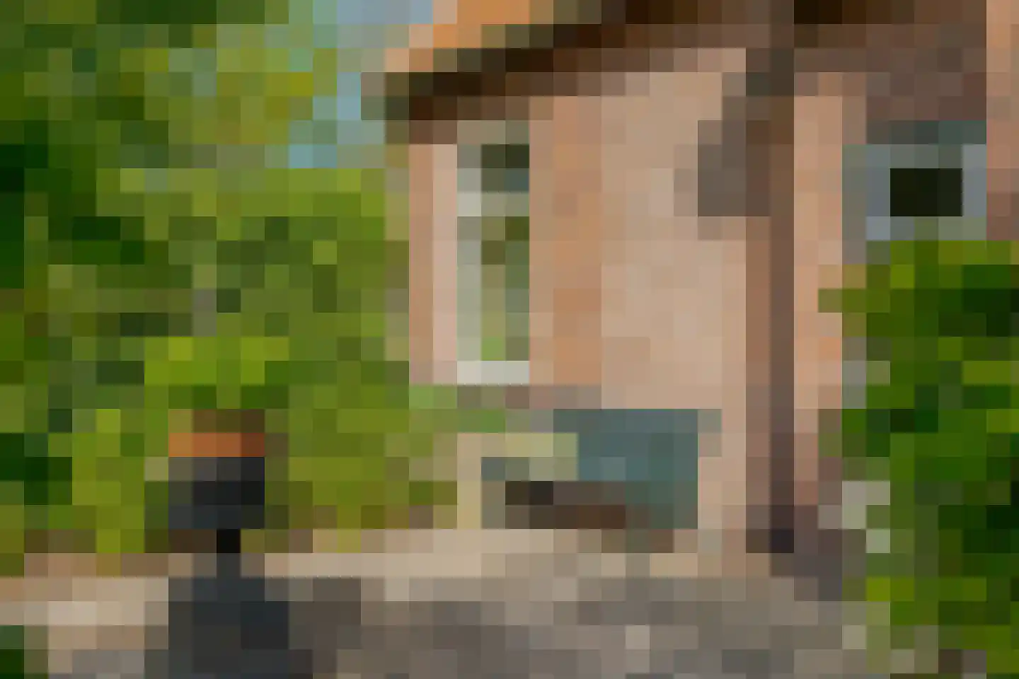 Hoofdstraat 35 Zwiggelte thumbnail 59